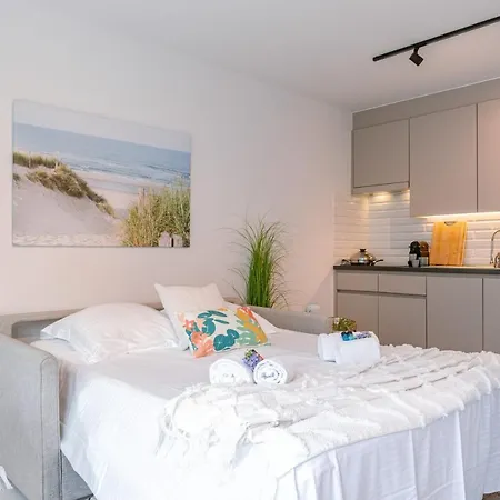 Fresh And Trendy, Completely Renovated Flat With Front Terrace And Side View Of The Dunes And The Sea